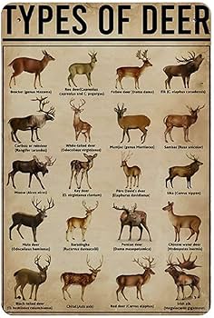 ヴィンテージ　金属鹿飾り 楽天市場】立つ鹿 Standing Reindeer 920x350x1700mm 強化